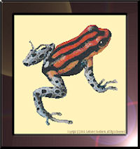 Spot-Bellied Poison Dart Frog Pattern (L9-013)