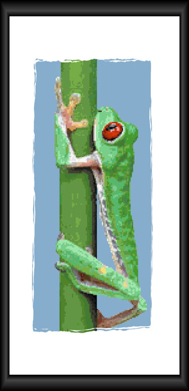Red-eyed Tree Frog Pattern (L9-006)