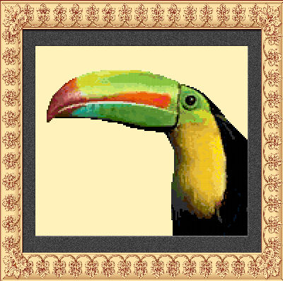 Keel-Billed Toucan Pattern (L9-009)